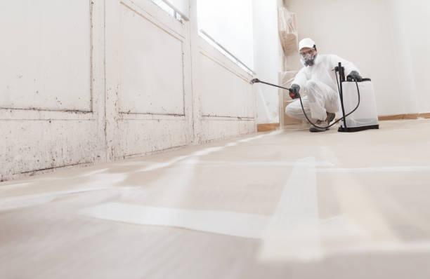 24/7 Emergency Mold Remediation experts in McDonough, GA