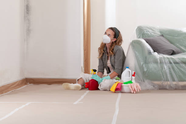 Reliable Mold Remediation contractor in McDonough, GA by 24 Hour Mold Removal